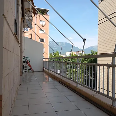 Sina * Tirana